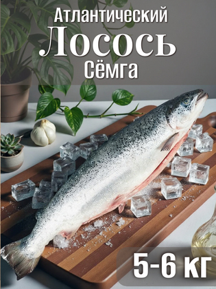 Лосось свежемороженый потрошёный с головой премиум Семга, Чили, 5-6 кг